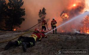 Požar kod Trebinja se širi prema minskom polju, vatra zahvatila električne stubove